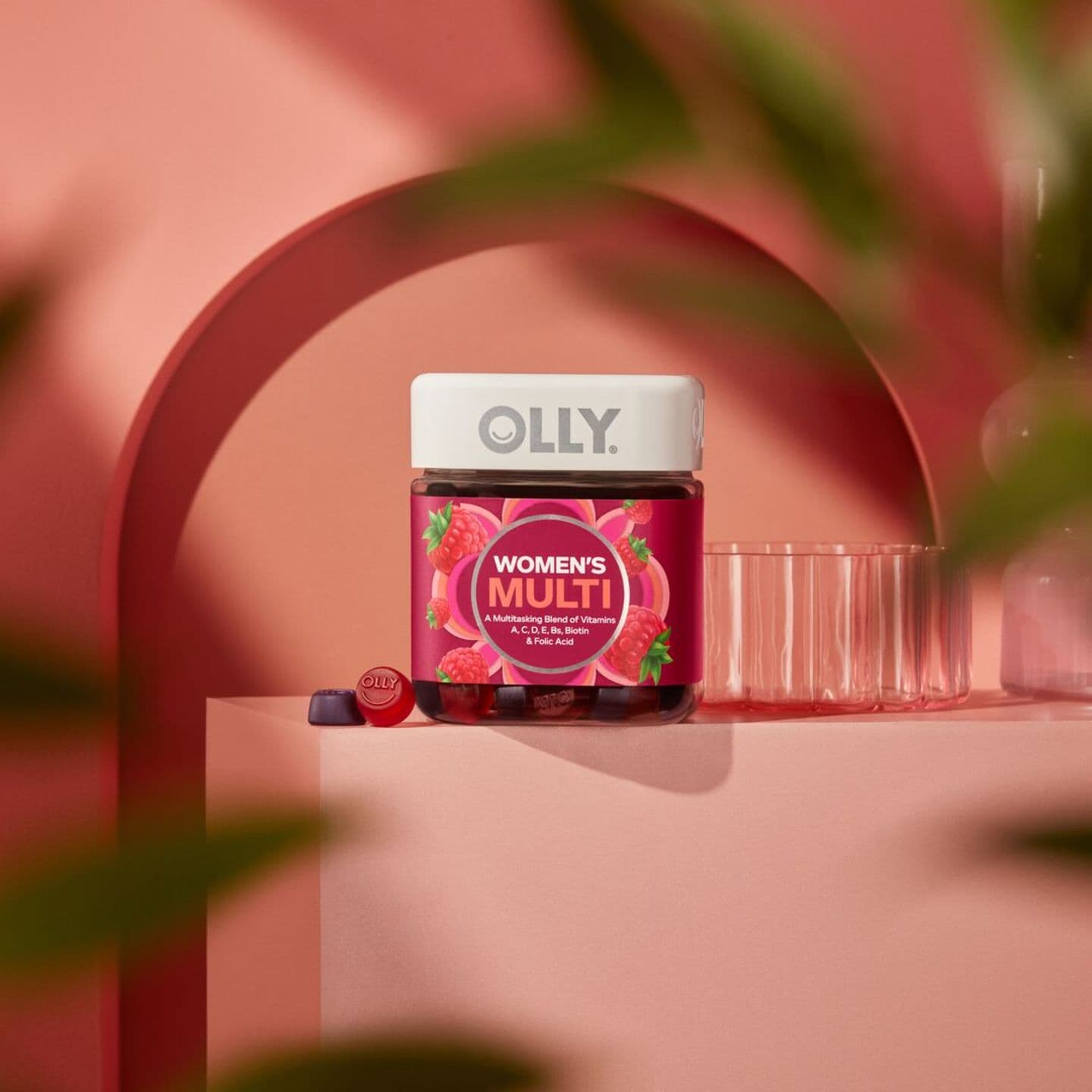 OLLY In The Wild challenge banner